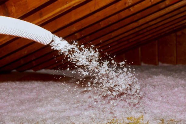 Best Cellulose Insulation in London, CA