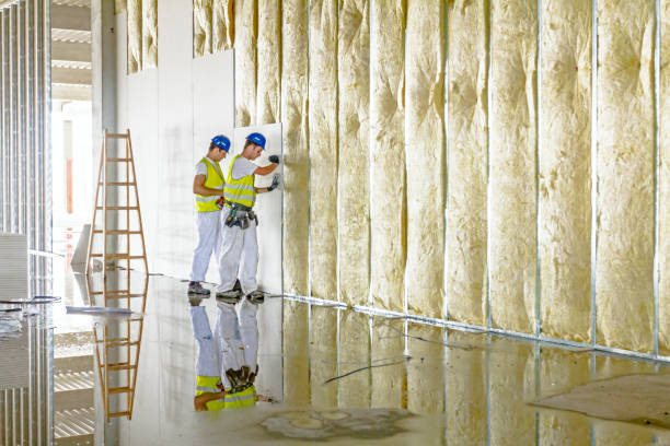 Types of Insulation We Offer in London, CA